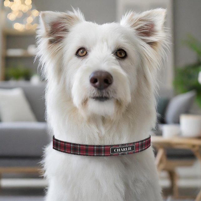 Red And Black Plaid Tartan Pattern And Custom Name Pet Collar (Please note: This image is a digital mockup. The product may not be in scale.)