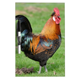 Red and black rooster dry erase board