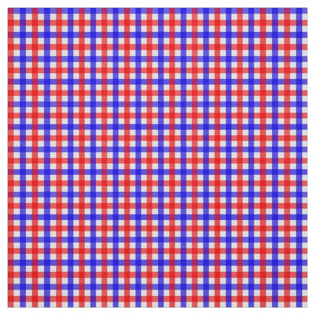 Red And Blue Gingham Fabric (Swatch)