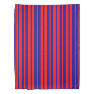 Red and Blue Stripes Design  Duvet Cover