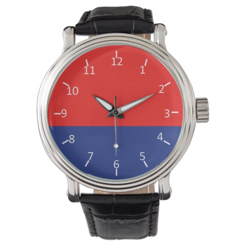 Red and Blue Wrist Watch