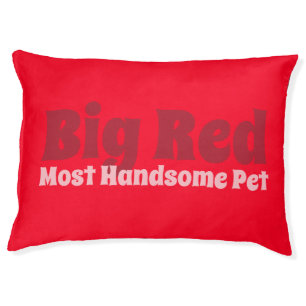 Red and Bold Pet Bed