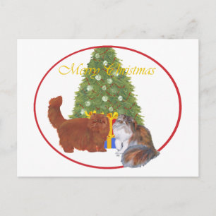 Red and Calico Persian Cats Christmas Holiday Postcard