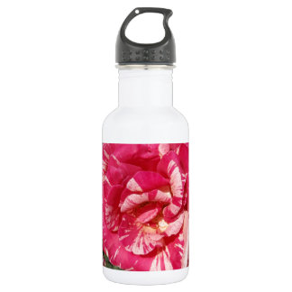Red and Cream Rose Water Bottle