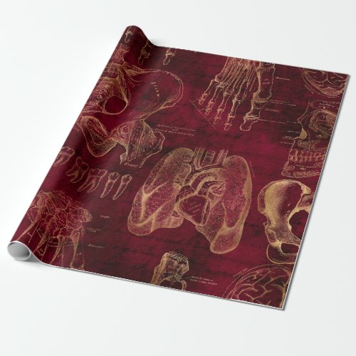 Red and Gold Anatomy Drawing on Red Wrapping Paper