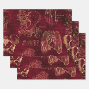 Red and Gold Anatomy Drawing on Red Wrapping Paper Sheets