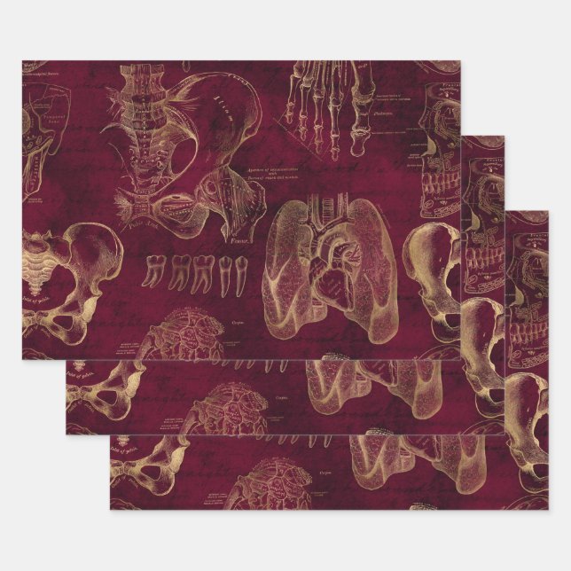 Red and Gold Anatomy Drawing on Red Wrapping Paper Sheets (Set)