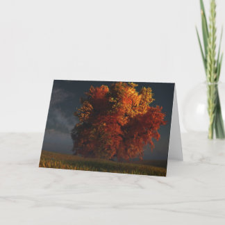 Red and Gold Greeting Card