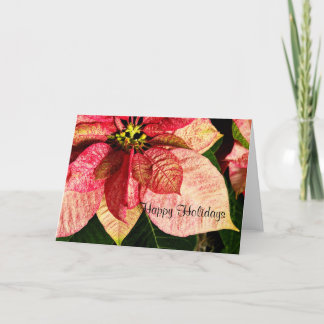 Red and Gold Poinsettia Card - Happy Holidays