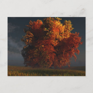Red and Gold Postcard