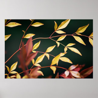 Red and Gold Print