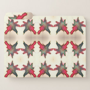 Red and Green Abstract Burst File Folder