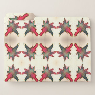 Red and Green Abstract Burst File Folder