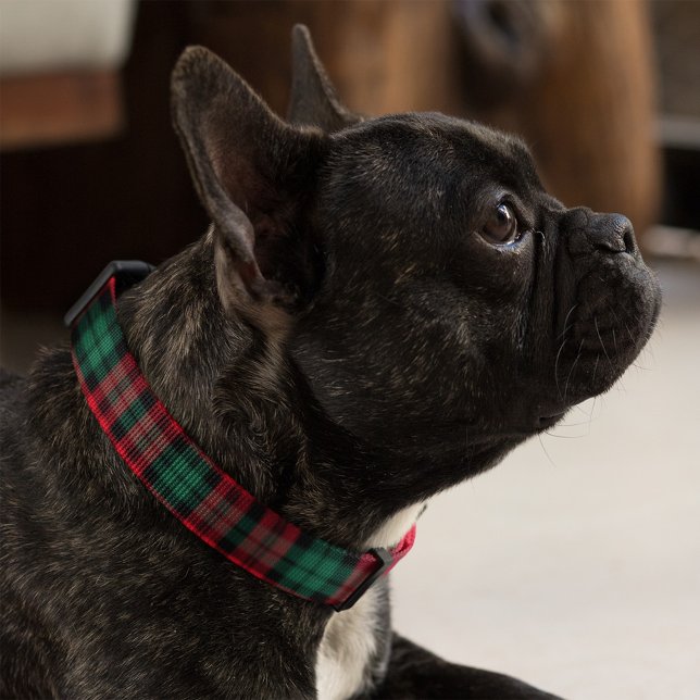 Red and Green Black Watch Plaid Dog Pet Collar (Creator Uploaded)