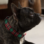 Red and Green Black Watch Plaid Holiday Pet Collar<br><div class="desc">Your pet will be looking so stylish and festive this holiday season! This classic pet collar design features a festive red and green black watch Scottish tartan plaid pattern.</div>