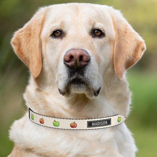 Red And Green Cartoon Apple Fruits Fall Harvest Pet Collar