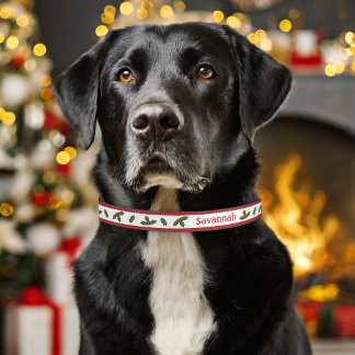 Red And Green Christmas Holly With Pet's Own Name Pet Collar