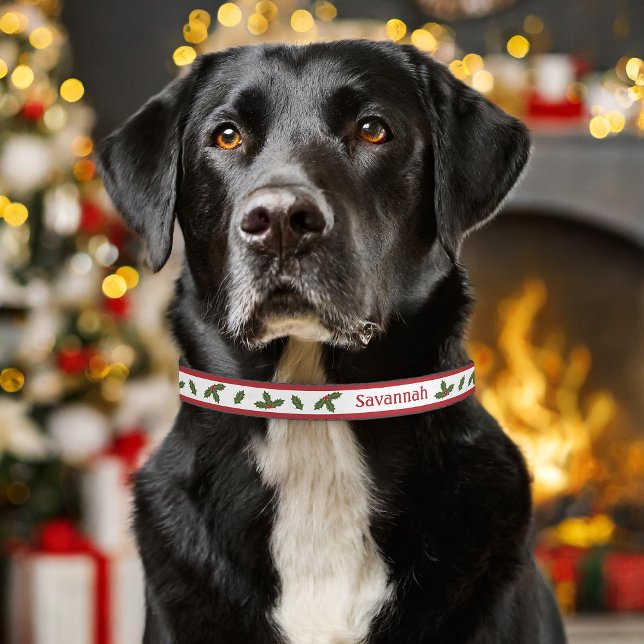 Red And Green Christmas Holly With Pet's Own Name Pet Collar (Please note: This image is a digital mockup. The product may not be in scale.)
