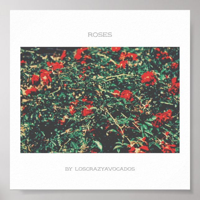 Red And Green Flowers Roses Poster (Front)