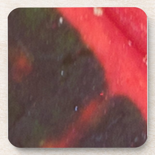 Red and Green Hawaiian Variegated Leaf Drink Coaster (Front)