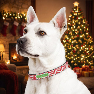 Red and Green Holiday Chevron Monogram Pet Collar