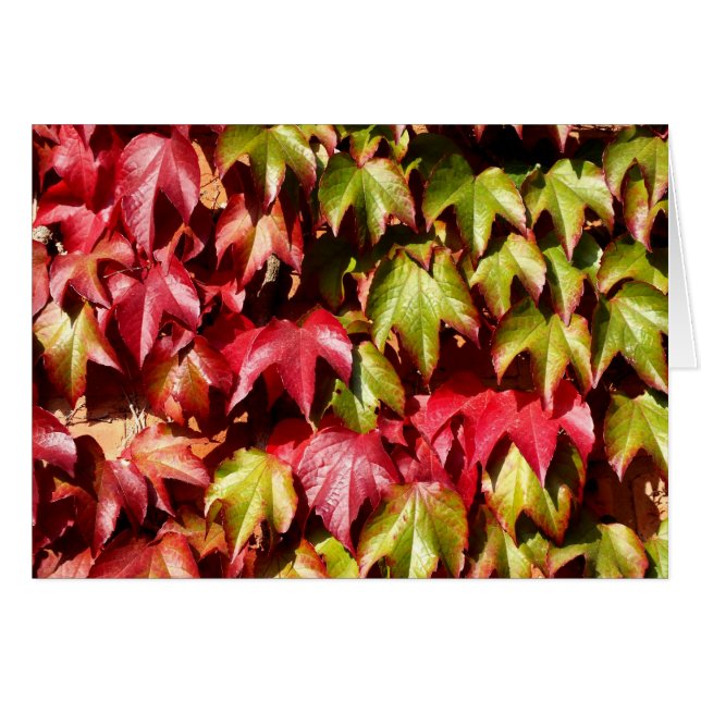 Red and green leaves cards (Front Horizontal)