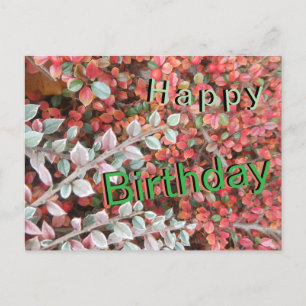 Red and Green Leaves Cust. Happy Birthday Postcard