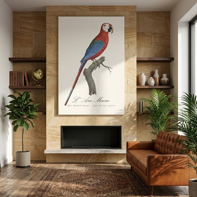 Red-and-green Macaw, Ara chloropterus Canvas Print (Red-and-green Macaw, Ara chloropterus. Canvas Print)