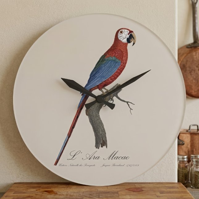 Red-and-green Macaw, Ara chloropterus Large Clock (Red-and-green Macaw, Ara chloropterus. Large Clock)