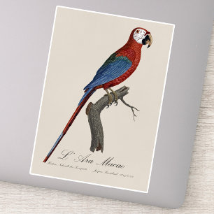 Red-and-green Macaw, Ara chloropterus Sticker