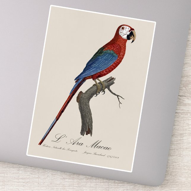 Red-and-green Macaw, Ara chloropterus Sticker (Red-and-green Macaw, Ara chloropterus. Sticker)