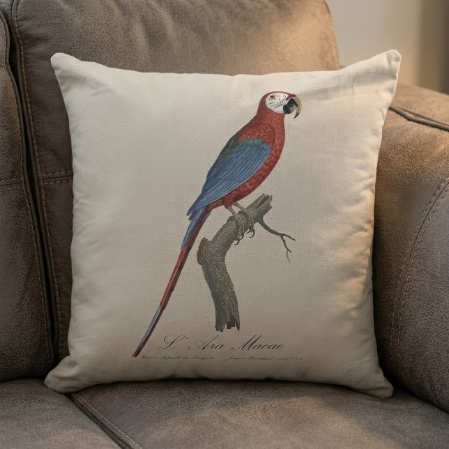 Red-and-green Macaw, Ara chloropterus Throw Pillow (Red-and-green Macaw, Ara chloropterus. Throw Pillow)