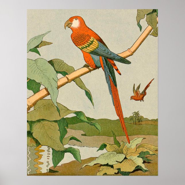 Red-and-Green Macaw Jungle Parrot Poster (Front)