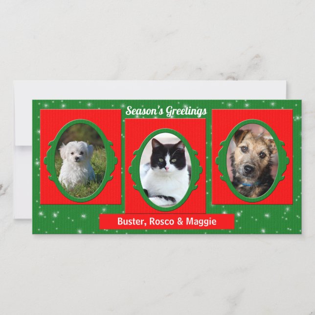 Red and Green Pet Lover 3 Photo Holiday Card (Front)
