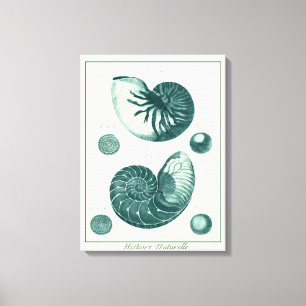 Red and Green Seashell Art Canvas Print