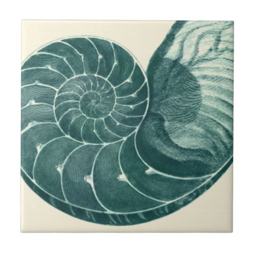 Red and Green Seashell Art Ceramic Tile