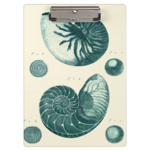 Red and Green Seashell Art Clipboard