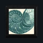 Red and Green Seashell Art Keepsake Box<br><div class="desc">Artist Denis Diderot is talented and known for his great sea life images. In this vivid image, he captures two red and green crackled Conch seashells in their most natural style. Conches are often crackled like these two seashells and in a sepia looking tone. Get your seashell product today and...</div>