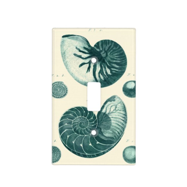 Red and Green Seashell Art Light Switch Cover (Front)