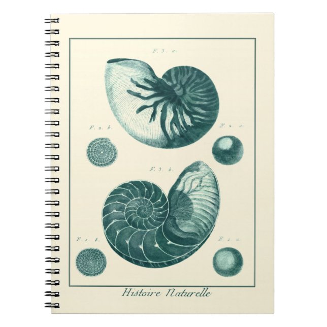 Red and Green Seashell Art Notebook (Front)