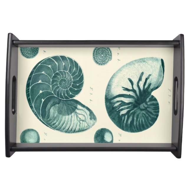 Red and Green Seashell Art Serving Tray (Front)