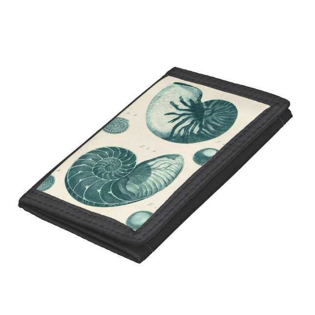 Red and Green Seashell Art Tri-fold Wallet (Bottom)