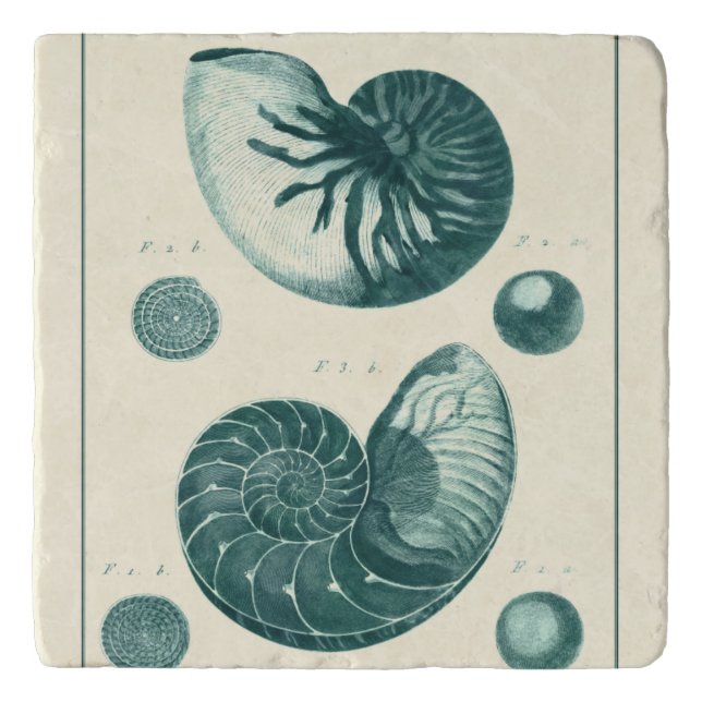 Red and Green Seashell Art Trivet (Front)