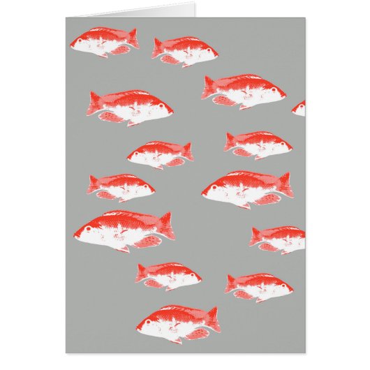 Red and grey fish (Front)