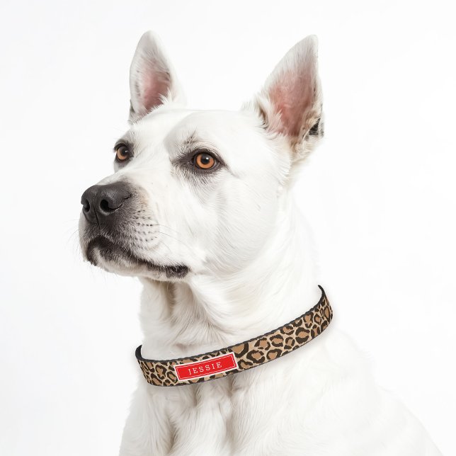 Red and Leopard Print Custom Monogram Pet Collar (Creator Uploaded)