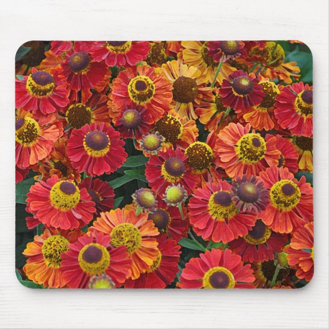 Red and orange helenium flowers mouse pad (Front)