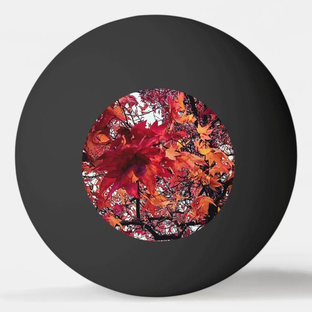 Red and orange leaves  ping pong ball (Front)