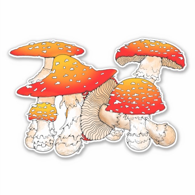 Red and orange mushroom  sticker (Front)