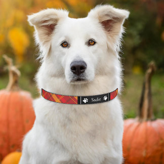 Red And Orange Plaid With Dog Paws & Name Pet Collar