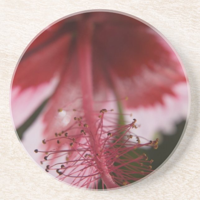 Red and Pink Hawaiian Hibiscus Coaster (Front)
